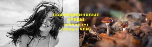 спиды Балахна