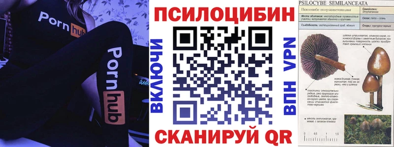 купить   Котлас  Псилоцибиновые грибы мухоморы 